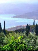 Top Proástion Top Proástion