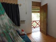 Green Forest Tangkahan