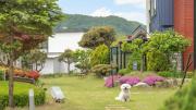 Hongcheon noilgangmaeul Pet Pension