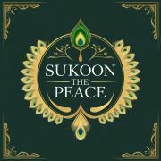 SKOON THE PEACE The placeu Enjoy