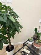 The Arches, Comfortable Design Loft 10 min from Colosseum