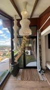 Les Suites