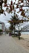 Apto com ótima localização, centro de Meia Praia