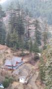 Top Jibhi
