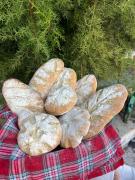 Top Ìsola di San Pietro