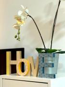 ANSA Beach Apartments - Jinetes Suite