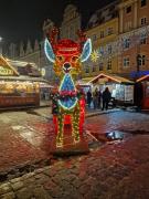 Top Wrocław