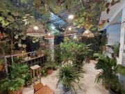 Alleyhomestay- Trần Đại Nghĩa