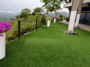 Top Pereira Top Pereira