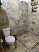 Top Palomino Top Palomino