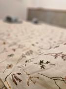 Top Sopron Top Sopron