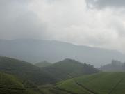 Top Vagamon