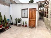 Top Tongoy Top Tongoy