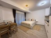 The View Studio 2 Busteni