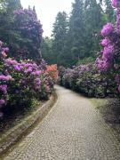 Top Szczawno-Zdrój Top Szczawno-Zdrój