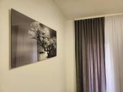 Stan na dan Moonlight Panonija