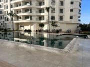 Top Tanger