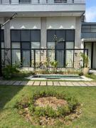 Olive Athena Guesthouse