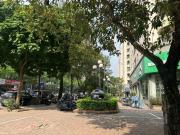 Quảng Bình 401TM3