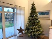 Forest Retreat- Serene 160m2 with Forest Views