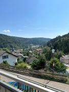 Ferienwohnung Panoramablick - super für deine Familie und die besten Aussicht in ganz Todtmoos