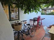 Top Greyton