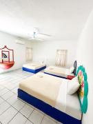 Top Puerto Escondido