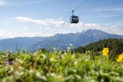 Top Laax