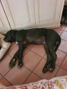 DCR Municipio DCR Municipio