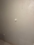 Top Tequisquiapan Top Tequisquiapan