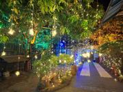 Top Alleppey