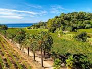 Appt Haut Standing, Balcon, Piscine, Internet, Parking - FR-1-726-27