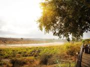 Bucklers Africa Lodge Kruger Park