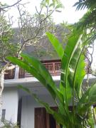 Top Ubud