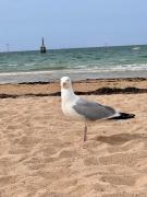 Top Port-en-Bessin-Huppain