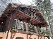 Top Wildenstein Top Wildenstein