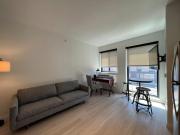 Modern Sunny Micro 1BR Light Rail Parks MSP 205