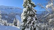 Top Flaine