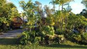 Top Pahoa Top Pahoa