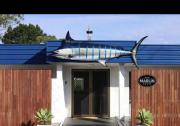The Marlin House Iluka