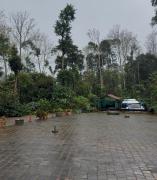 Top Madikeri