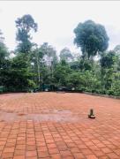 Top Madikeri