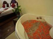 The View Pavilion Hotel