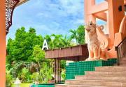 Top Pattaya Central