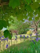 Top Mas Saint-Chély