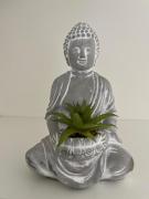 Top Parentis-en-Born