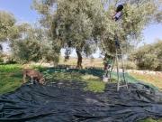 Top Canicattini Bagni