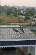 Top Coimbatore
