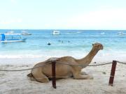 Blissful 2 bedroom beach flat