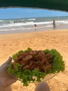 Casa de praia Silva Bráz